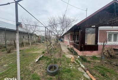 Casă cu 4 camere cu Teren 1300 Mp în Nuci - 3