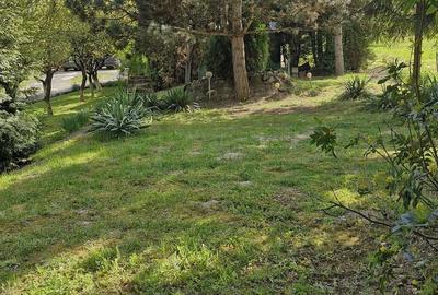 Teren de 700 mp, în Corunca - 1
