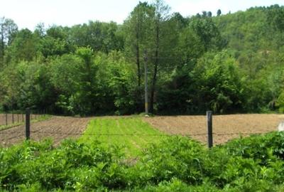 Vad 22000 mp INTRAVILAN BOGATI DJ702C jud Arges - 7