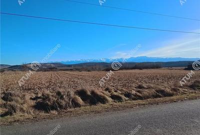 Teren pretabil investitie in Daia judet Sibiu - 16