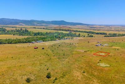 Teren 500mp Dumbravita / Oportunitate de investi?ii - 2