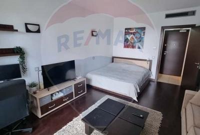 Garsoniera De Inchiriat Asmita Tineretului - 3