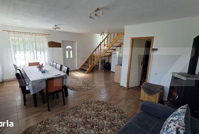 Casă cu 3 camere cu Teren 4300 Mp în Meteș - 6