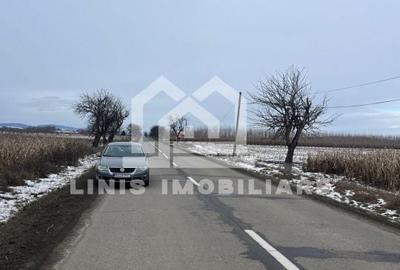 Spațiu comercial, în Dornești