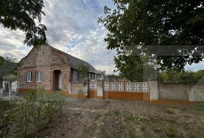 Casa 4 camere cu teren de 3892 mp - 2