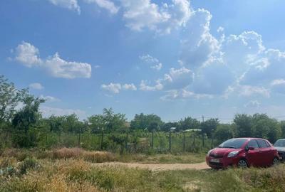 Teren Construcții intravilan de 954 mp, în Cernica - 10