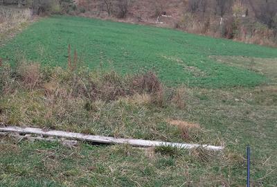 Spațiu comercial, în Pietriș - 1