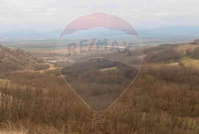 Teren Construcții de 3400 mp, în Crișeni - 3