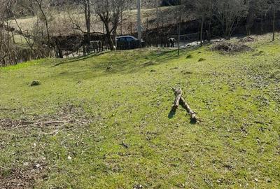 Teren de 2650 mp, în Malurile - 3