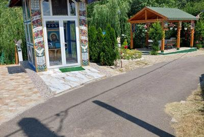 Vand casa cu livada in satul Ionesti Arges - 10