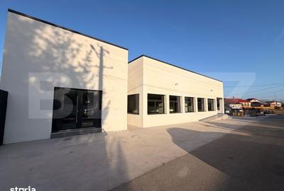 Spațiu comercial, de 245 mp, în Ulmi - 11