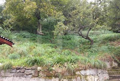 Casa in Rasnov, 90 mp2, teren 1000mp. - 7