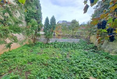 Casa 3 dormitoare, curte 60mp, parcare, langa UMF! - 19