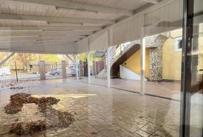 Spa?iu 180 mp cu Terasa Ideal Restaurant, zona Dambov - 20