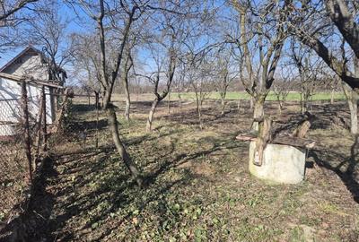 Casă cu 3 camere cu Teren 2880 Mp în Adea - 1