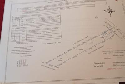 Casă cu 3 camere în Malu cu Flori - 7