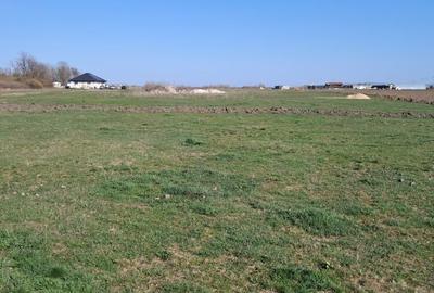 Spațiu comercial, în Sacoșu Turcesc - 4