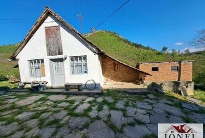 Casa de vanzare cu 46774 mp teren in zona Vintu - 5
