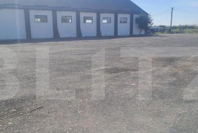 ???? Hala industriala 370 mp + teren 10.000 mp | DN72 Suta - 17