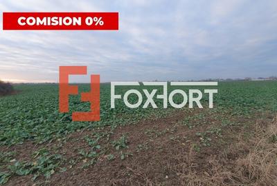 COMISION 0% Teren extravilan 20.000 mp la sosea in Sag - 1