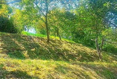 Casa  individuala pe parter zona Sacele, 150000Euro Casa  individuala pe parter zona Sacele, 150000Euro - 10