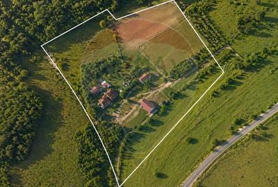 Casă individuală cu 2 camere cu Teren 17490 Mp în Ponor - 7