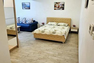 Apartament 1 camera Mazepa bloc Roka - 3