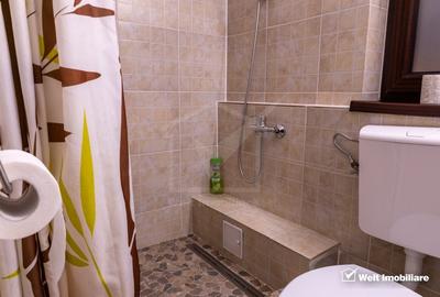 Oportunitate in Zorilor: casa spatioasa, curte mare si potential de investitie! - 25