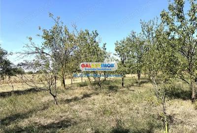 Vanzare teren intravilan Baicoi Central Vanzare teren intravilan Baicoi Central - 3