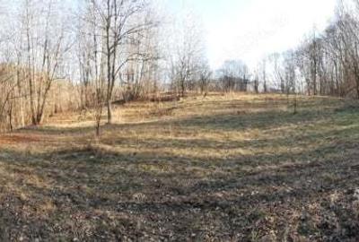 Teren de 4750 mp, în Provița de Sus - 3
