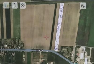 Teren de 10800 mp, în Tămășeu - 5