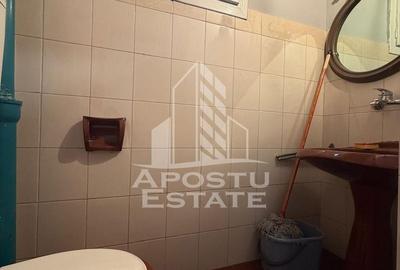 Apartament cu 2 camere semidecomandat în Iosefin - 6