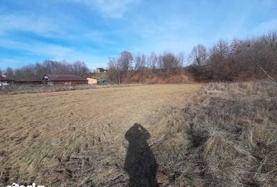 Teren de 5000 mp, în Crăcăoani - 1