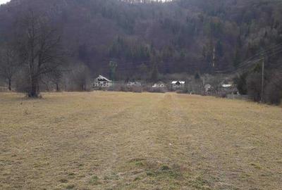 Teren de 4488 mp, în Pângărați - 5