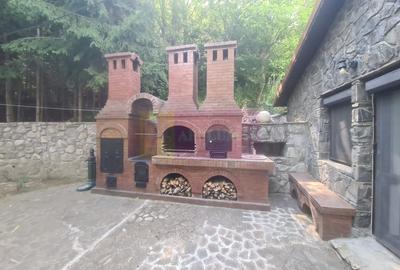 Vila de vanzare in Campina - Zona Lunca Mare - 1