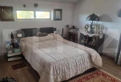 Proprietate multifunctionala,VILA,Teren 28000 mp+afacere piscicultura functionla - 14