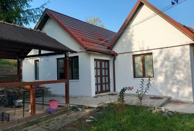 Casă cu 3 camere cu Teren 2300 Mp în Tudor Vladimirescu - 3