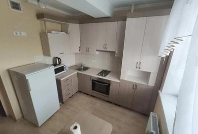 Apartament de inchiriat in Dambovita - Sagului - 1