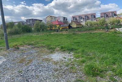 Spațiu comercial, în Petru Rareș - 2