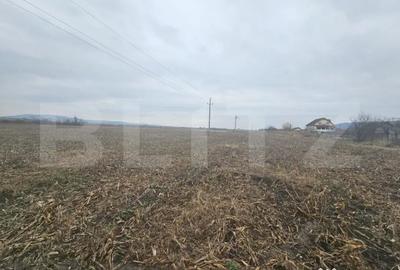 Teren de 9000 mp, în Central - 2