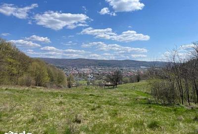 Teren de 3600 mp, în Central - 2