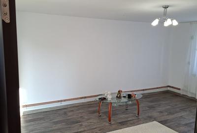 Casa RATESTI/Patuleni- Arges, renovata/finisaje moderne, teren 1055mp. - 6