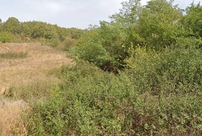 Teren de 4296 mp, în Gura Șușiței - 5