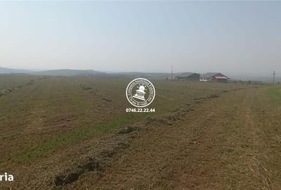 Spațiu comercial, în Horlești - 3