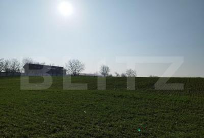 Teren 12223mp, deschidere 27mp, intravilan, Berceni - 4