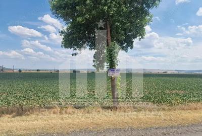 Teren agricol la sosea, pretabil si ptr constructii industriale - 5