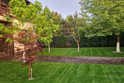 Casă cu 5 camere cu Teren 4000 Mp în Pantelimon - 12