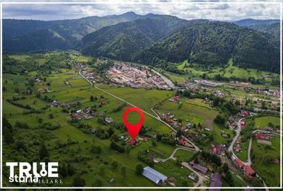 Casă cu 5 camere cu Teren 4015 Mp în Lunca - 4