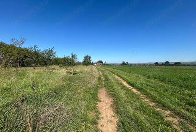 Teren intravilan, 5700mp - Teius - 1