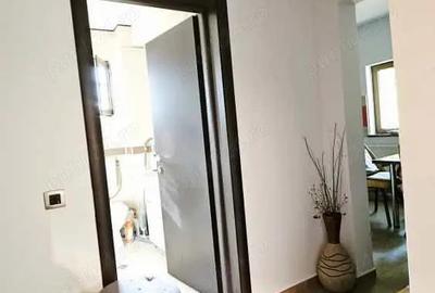 Crangasi, apartament la curte si terasa si garaj - 9